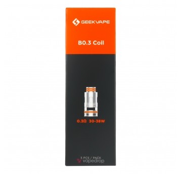 COIL GEEK VAPE B SERIES - 0.3 OHM